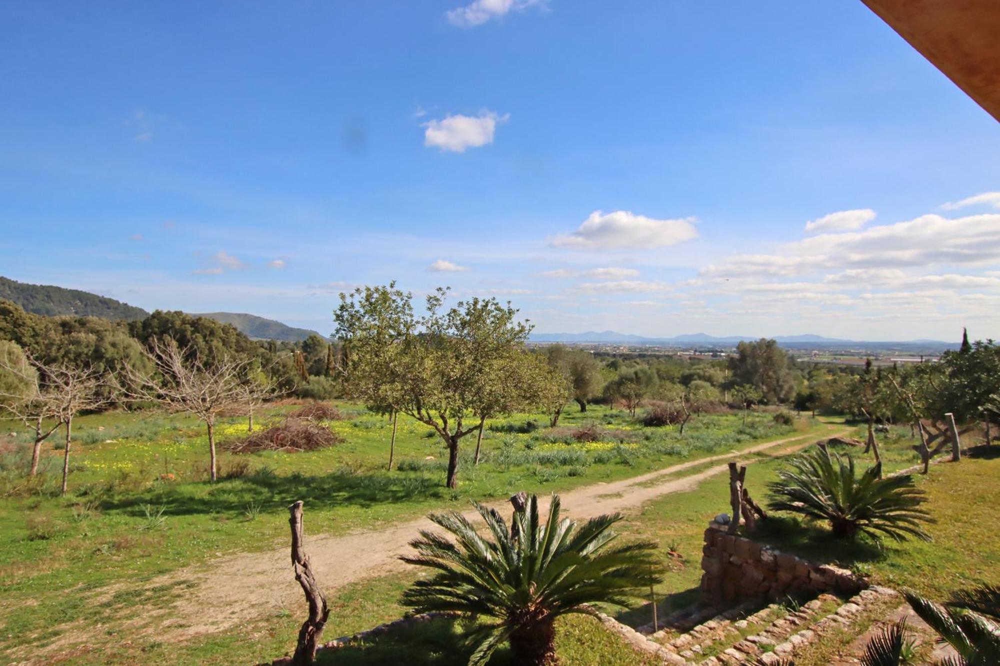 Villa Es Bosquet By Slow *