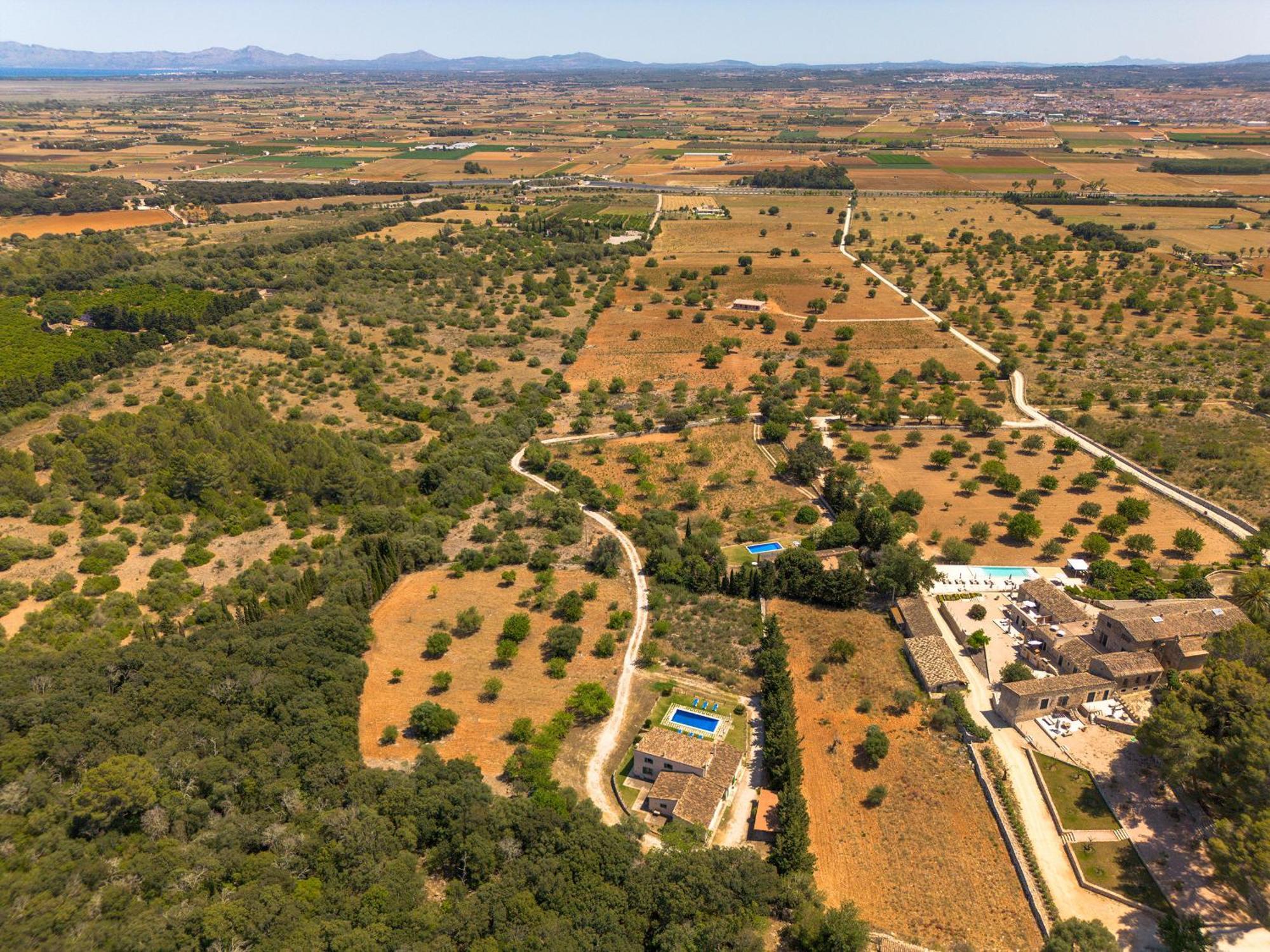 Es Bosquet By Slow Crestatx